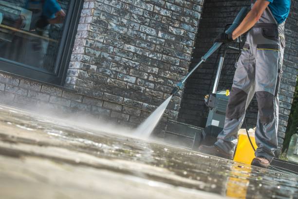 Best Fleet Vehicle Washing  in Broadview Park, FL